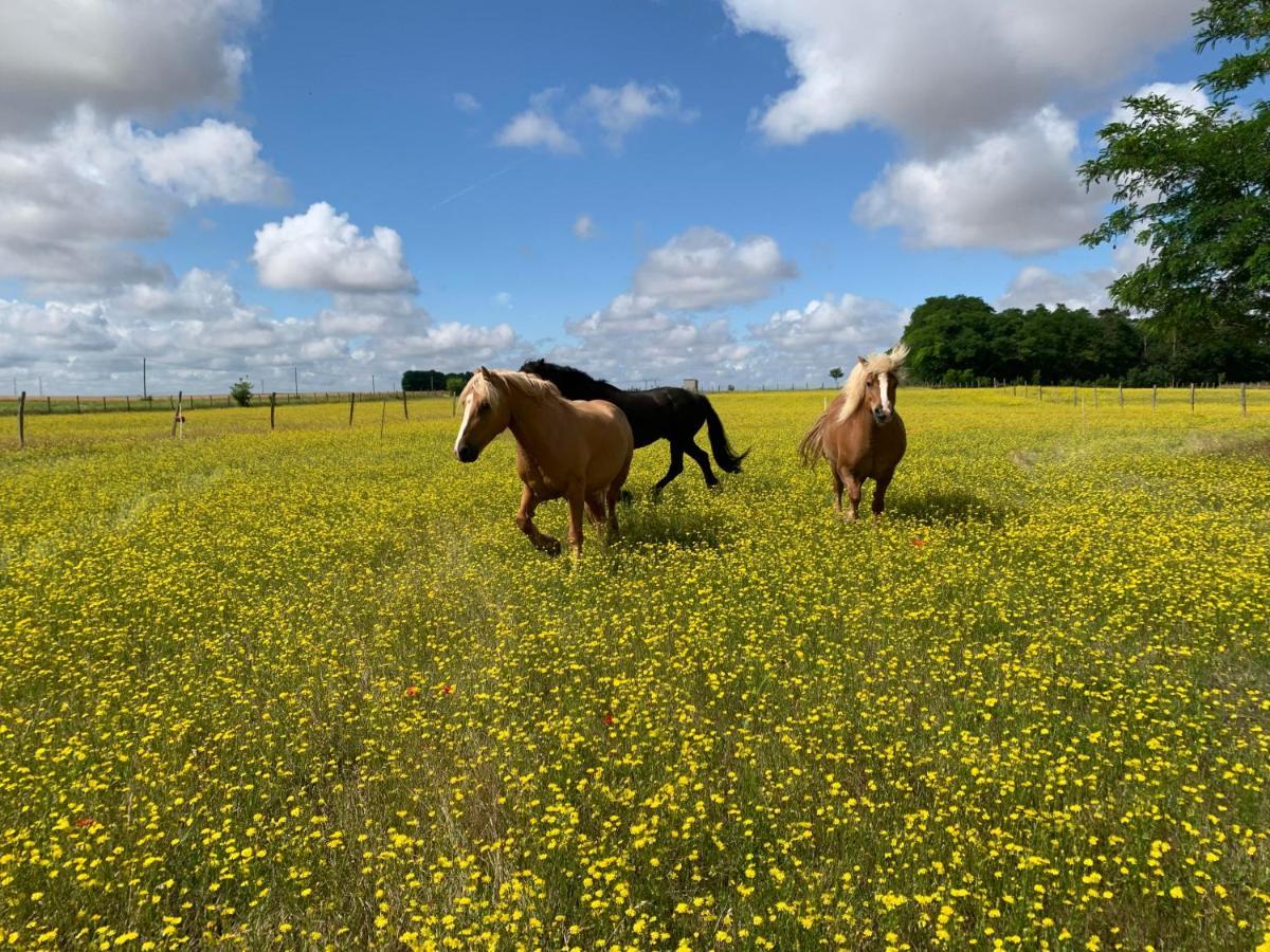 Mobilhome Sous Chalet En Bois A La Ferme Josnes Eksteriør bilde